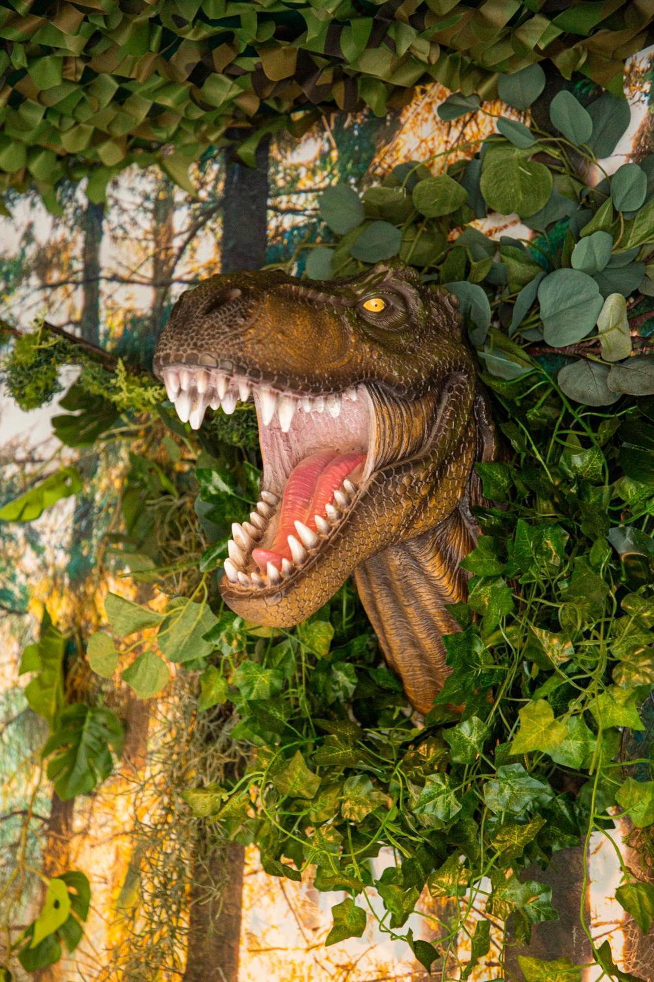 Jurassique Appart Montigny-les-Metz Kültér fotó